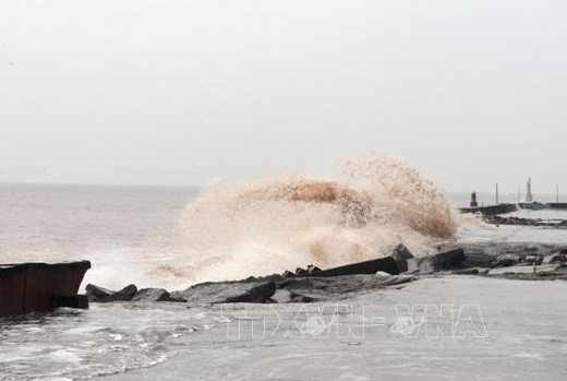 Chủ động ứng phó với vùng áp thấp trên biển Đông