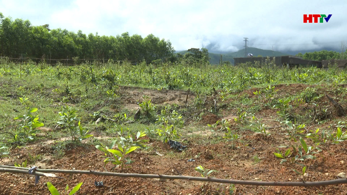 Tái định cư dự án cao tốc Bắc Nam: Người dân có đồng tình?