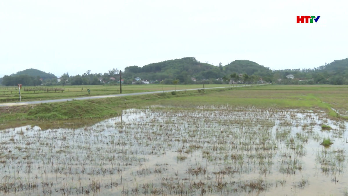 Hà Tĩnh chấp thuận 28 vị trí quy hoạch tái định cư