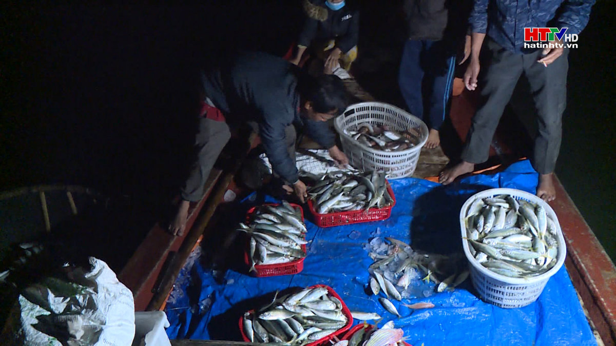 Phê duyệt chiến lược khai thác, sử dụng bền vững tài nguyên biển