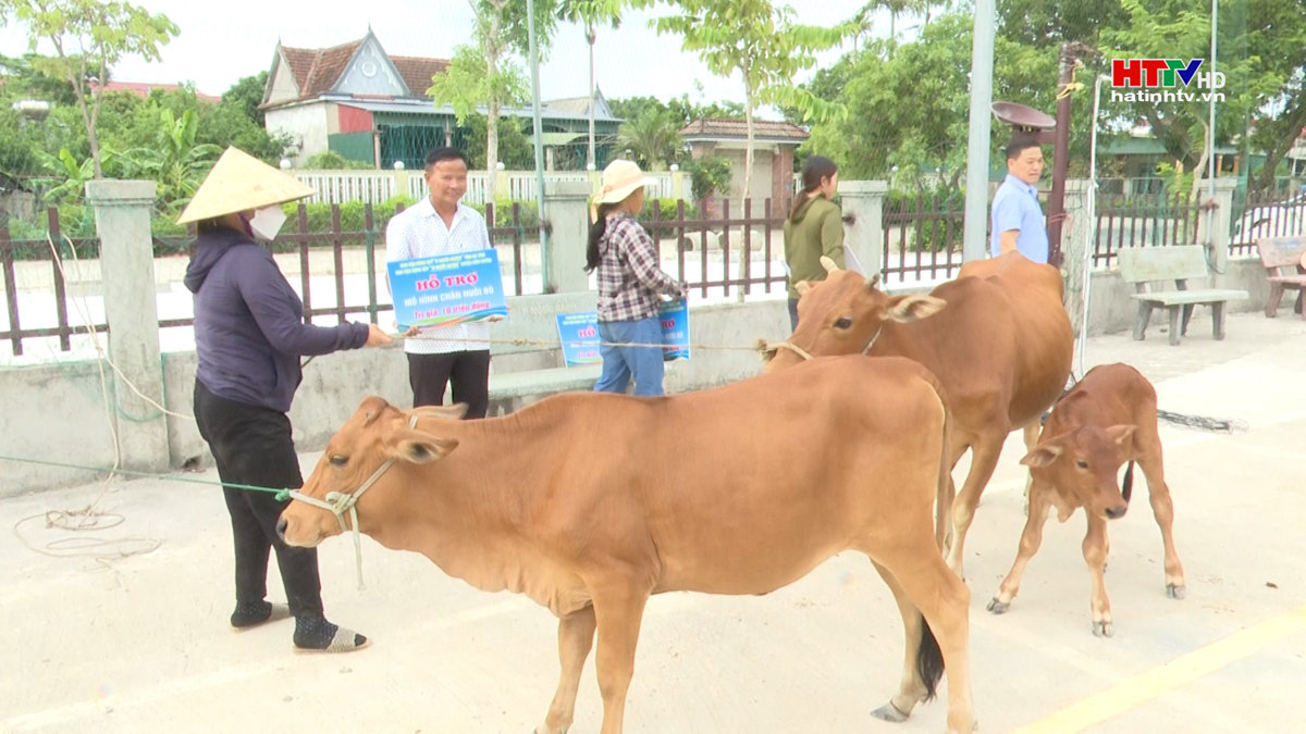 Cẩm Xuyên: Trao tặng bò giống cho hộ nghèo