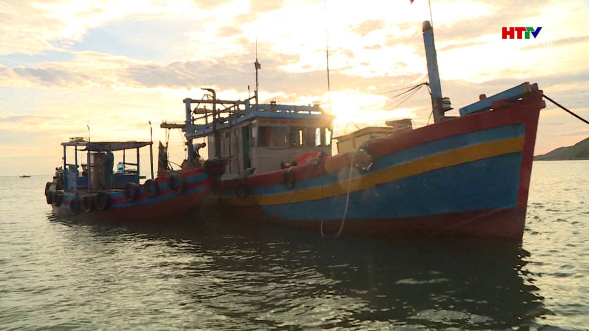 100% tàu cá Hà Tĩnh được cấp giấy phép khai thác thuỷ sản