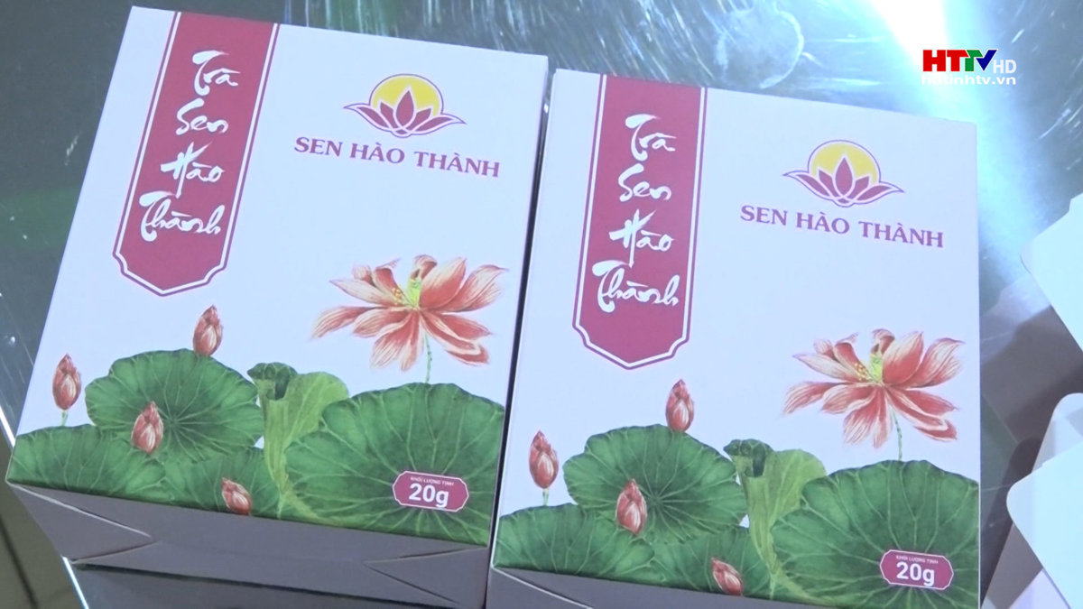 Thành phố phân hạng sản phẩm OCOP