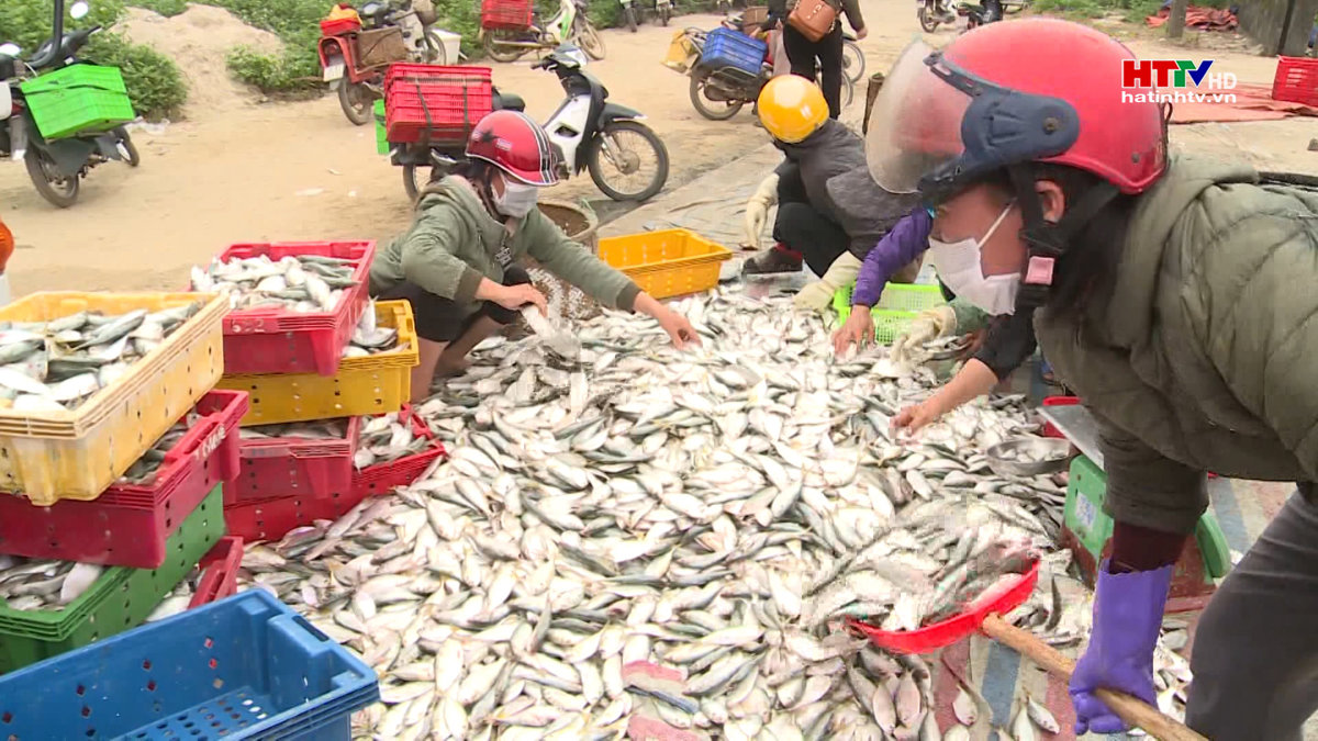 Sản lượng nuôi, đánh bắt thuỷ hải sản tăng 2,71%