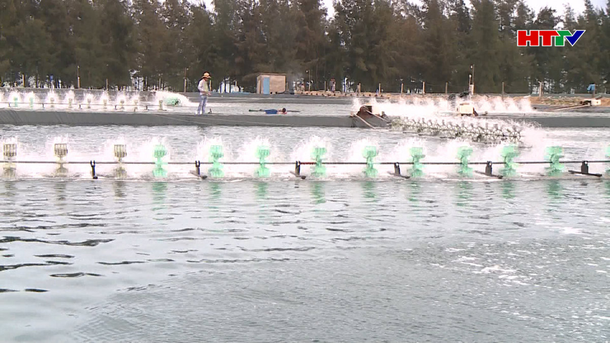 Thuỷ sản 4 tháng tăng so cùng kỳ