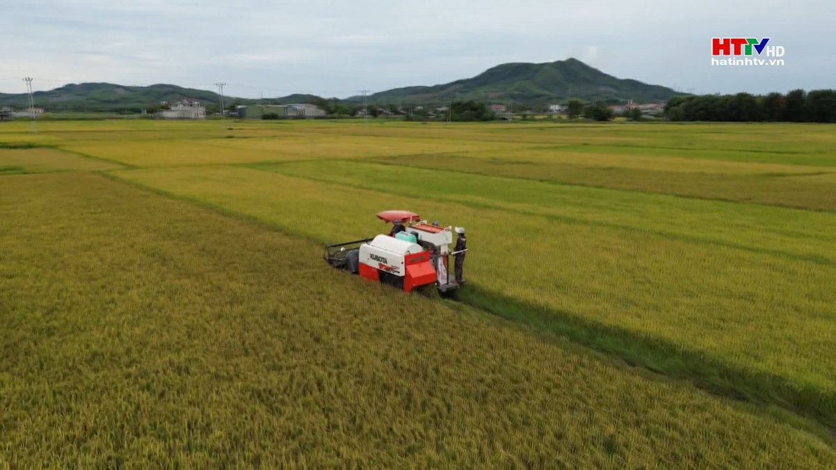 Các địa phương ở Hà Tĩnh đẩy mạnh tích tụ ruộng đất