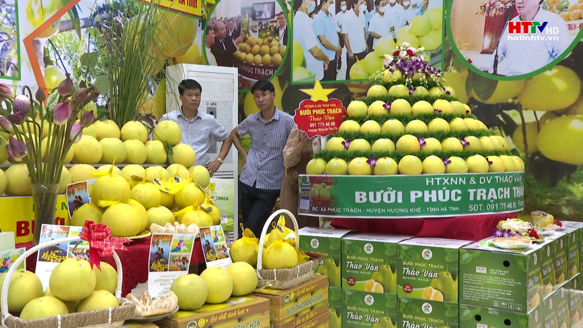 Nhiều doanh nghiệp ký kết tiêu thụ bưởi Phúc Trạch