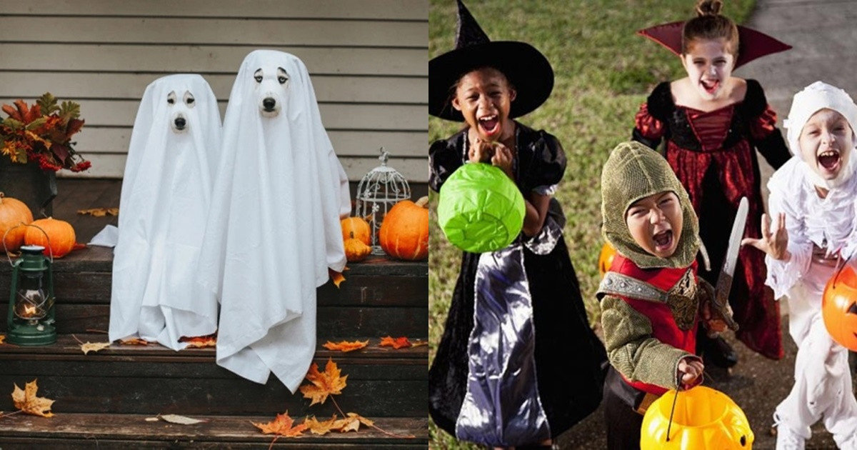 Top những lời chúc Halloween 2023 vui vẻ, độc đáo
