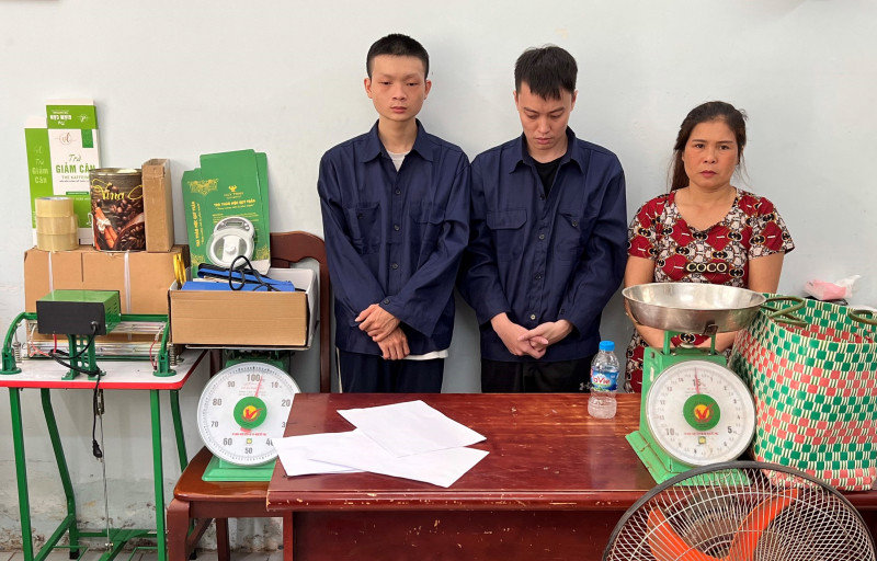 TP.HCM: Triệt phá đường dây trồng, đóng gói cần sa khép kín