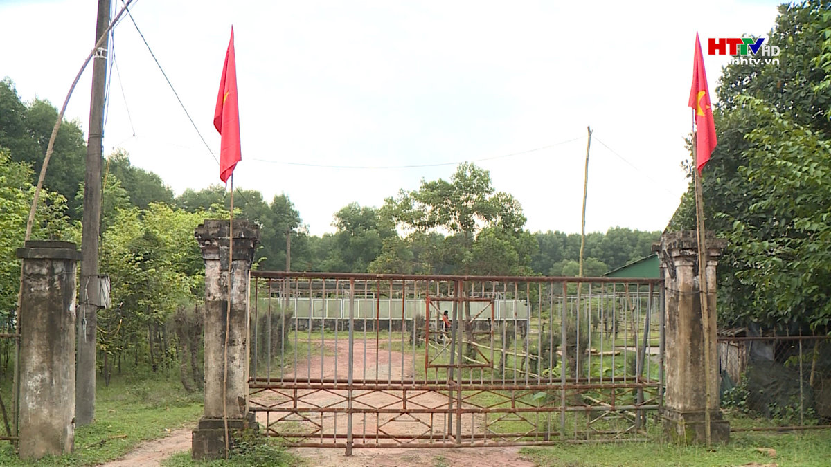 Hoang phí Trung tâm giống cây Lâm nghiệp chất lượng cao