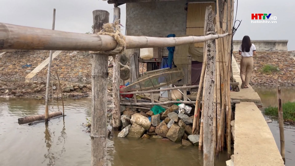 Tràn lan tình trạng vi phạm hành lang đê điều