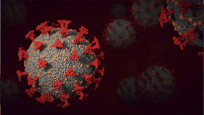 Nghiên cứu phát hiện thêm 9 chủng virus corona mới