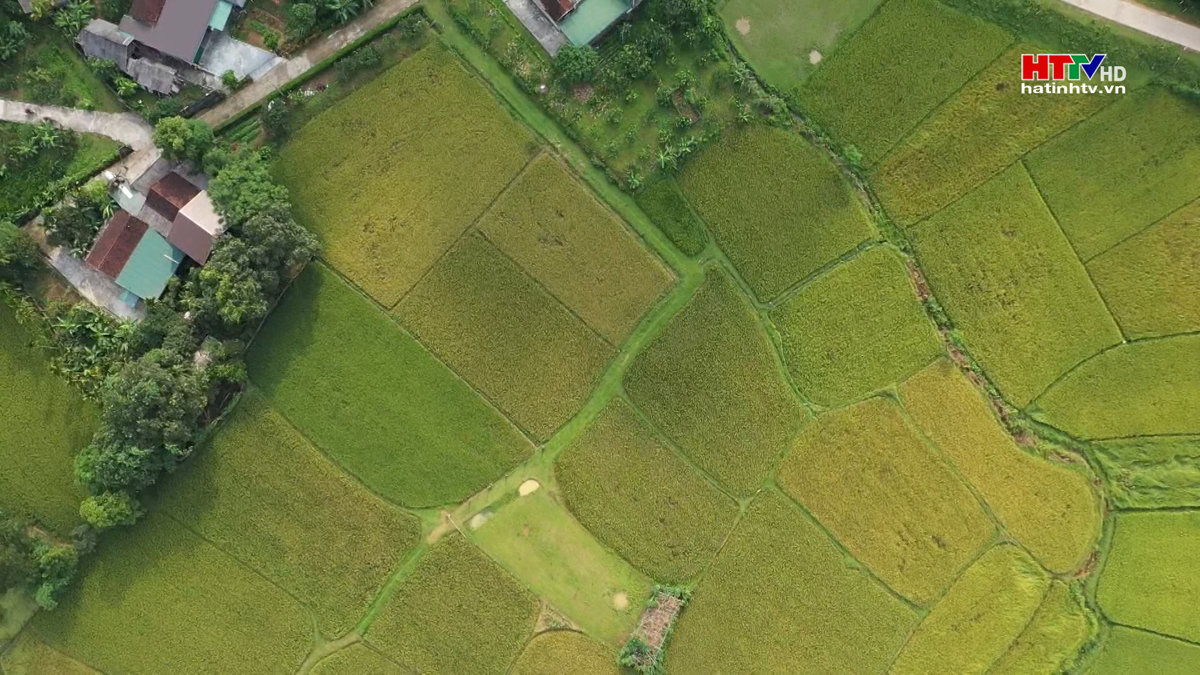 Hà Tĩnh phân bổ gần 160 tỷ đồng thực hiện nông thôn mới