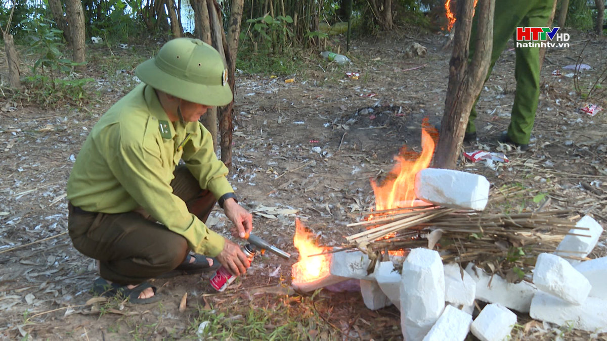 Hà Tĩnh xử lý đánh bắt chim trời trái phép