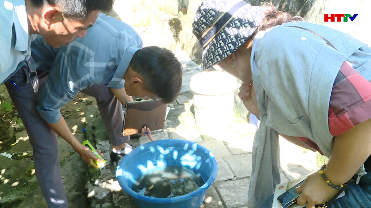 Tiếp tục xuất hiện các ổ dịch sốt xuất huyết mới