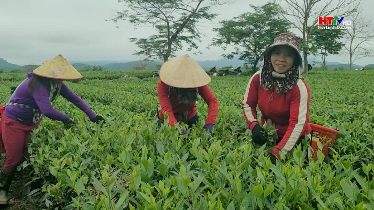 Kim ngạch xuất khẩu tăng hơn 60% so với cùng kỳ