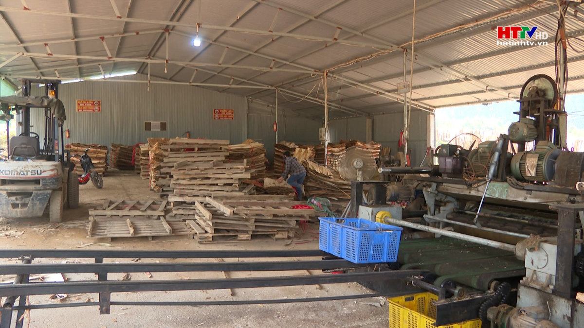 Xưởng gỗ dăm không phép hoạt động giữa khu dân cư